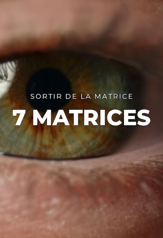 7 MATRICES