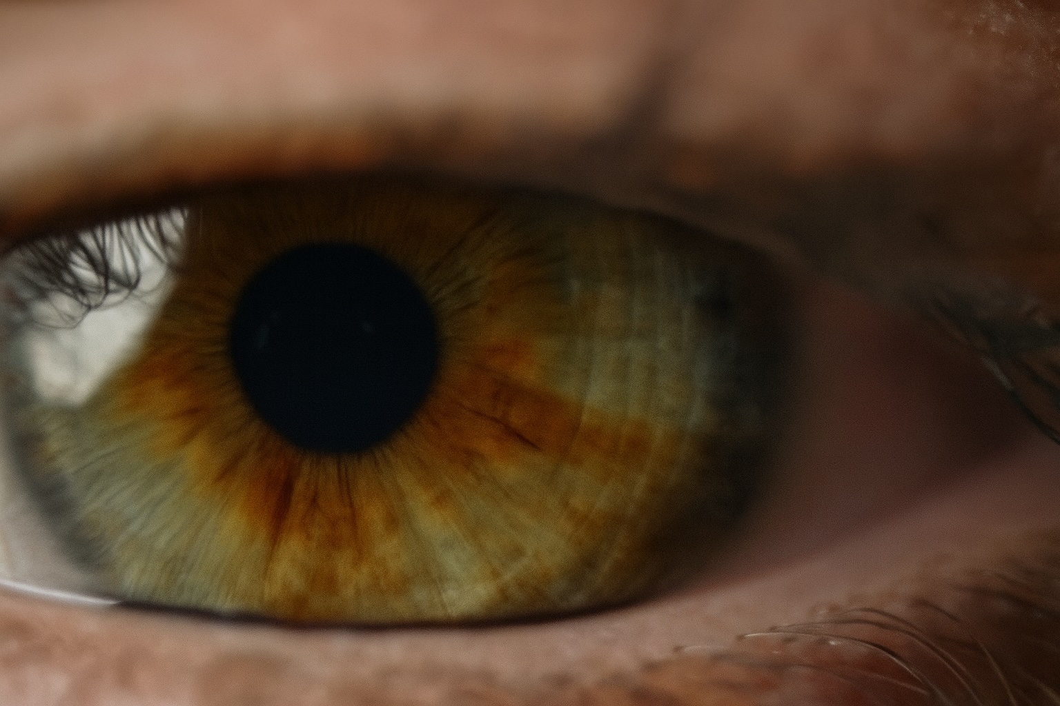 video-section-banner-image